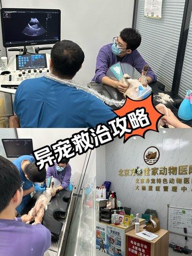 终于让我找到了｜养异宠的宝子们记得收藏