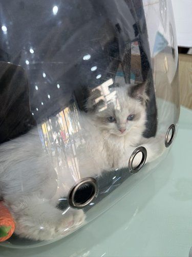 带可乐来看病