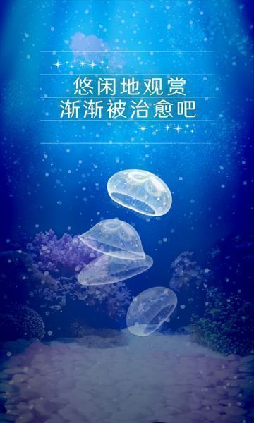 宠物水母怎么养？初学者必看的水母养护指南