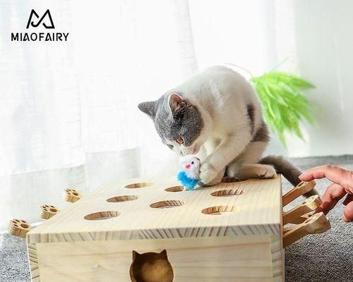 猫咪为什么喜欢玩具小老鼠？（探究猫咪对玩具小老鼠的喜爱和需求）