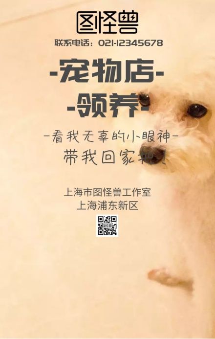 东北宠物店领养宣传宠物海报