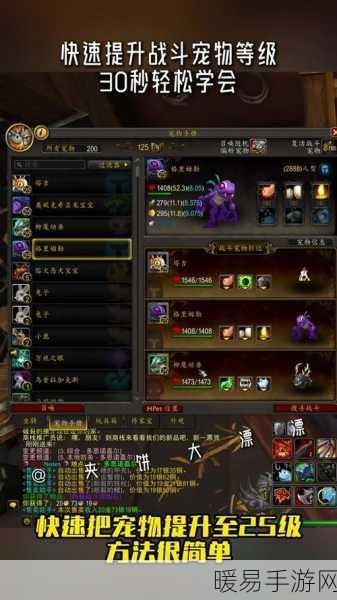 魔兽世界，50 种非战斗小宠物获取秘籍大公开