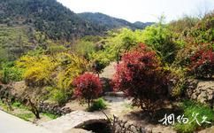 青岛百雀林生态观光园旅游攻略之生态园林保护区