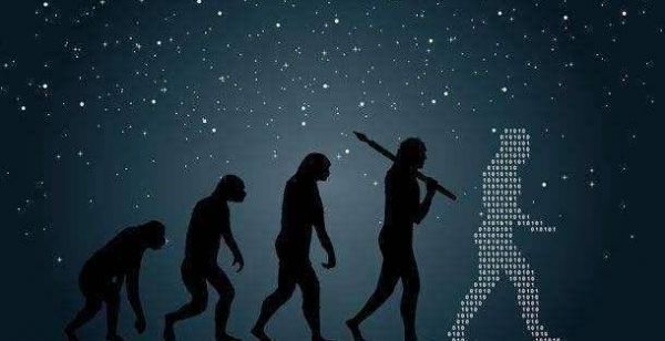 在这个繁华的世界里，人们总是忙于奔波，为了生活而努力。然而，在这个快节奏的生活中，我们是否曾停下脚步，去关注那些生活在我们身边的小生灵？今天，就让我带领大家走进淮北萌宠乐园鸟，感受那里的美好与和谐。
