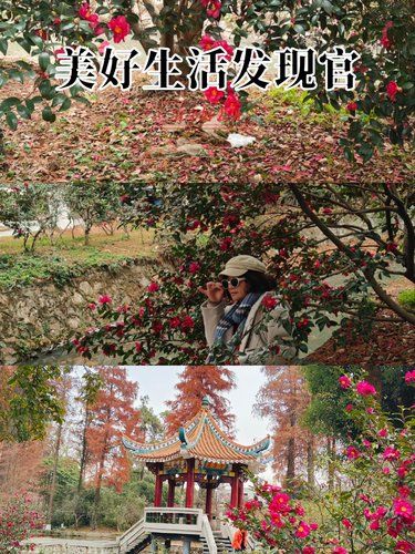 公园悠闲行