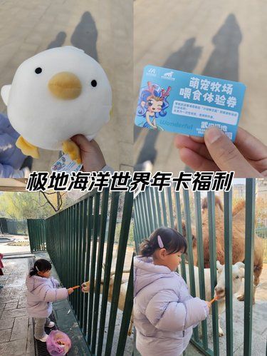 极地海洋世界年卡还有福利？！你知道吗？