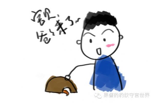 豹纹守宫冬天怎么养（豹纹守宫冬日三纠结）