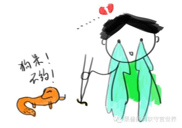 豹纹守宫冬天怎么养（豹纹守宫冬日三纠结）