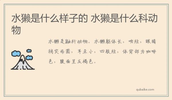 shui水獭是什么样子的 水獭是什么科动物