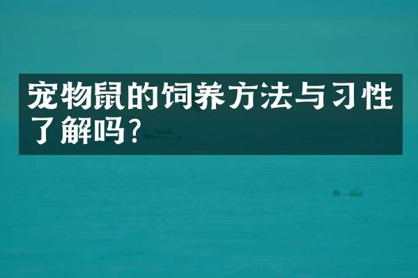 宠物鼠的饲养方法与习性了解吗？