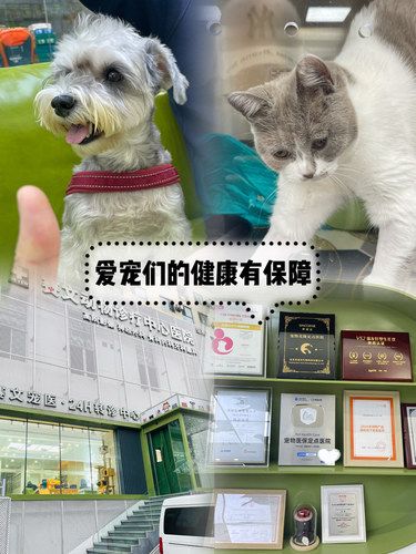 大连的宠物医院，我们只认这家❣️