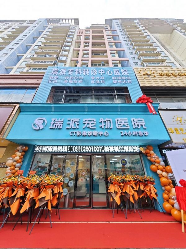 镇江瑞派宠物医院大西路院迎来医疗技术新飞跃 美国通用人工智能CT正式上线！