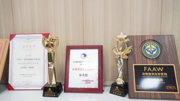 镇江瑞派宠物医院大西路院迎来医疗技术新飞跃 美国通用人工智能CT正式上线！