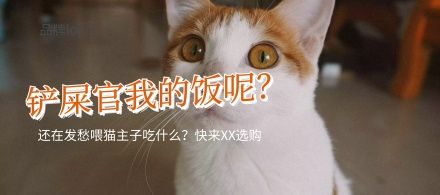 宠物猫吃什么可爱淘宝主图