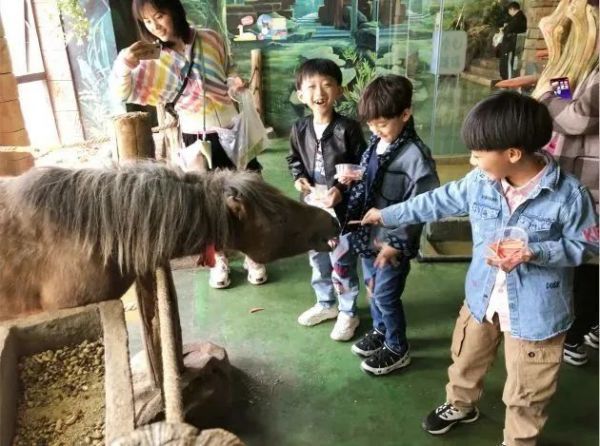 https://r.sinaimg.cn/large/article/77a3f349bfbce73f8037cec4051fbb47