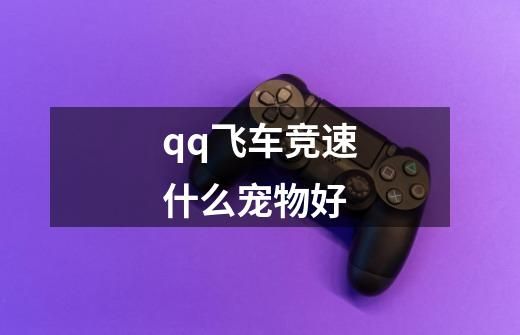 qq飞车竞速什么宠物好-第1张-游戏信息-北京超权超道网络科技有限公司