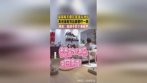 猫猫每天都在家里玩滑铲 其他猫看到后都咬吓一跳