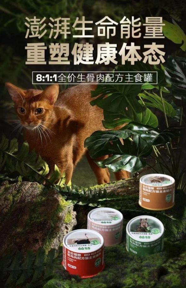 点击查看原始图片
