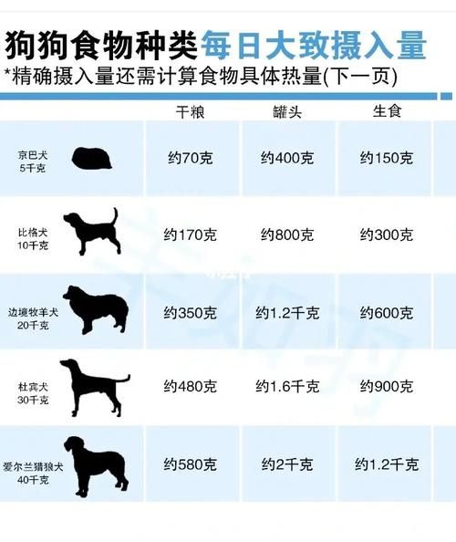 柯基不同年龄的食量图：柯基犬各年龄段的食量