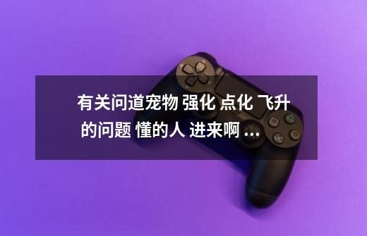 有关问道宠物 强化 点化 飞升 的问题 懂的人 进来啊 跪求-第1张-游戏资讯-智辉网络