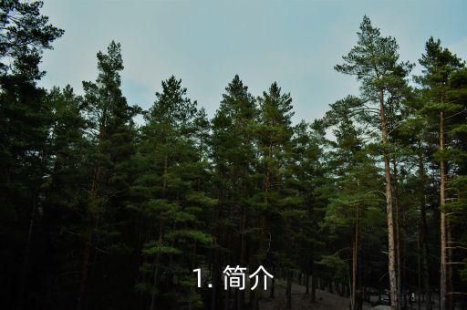 1. 简介