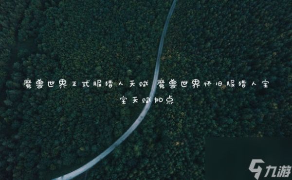 魔兽世界正式服猎人天赋 魔兽世界怀旧服猎人宝宝天赋加点