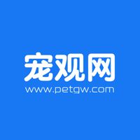 宠观