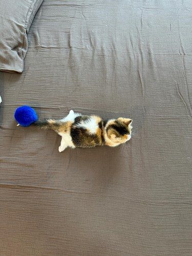 那些我以为糊的图 结果都大爆…[鼓掌][鼓掌]