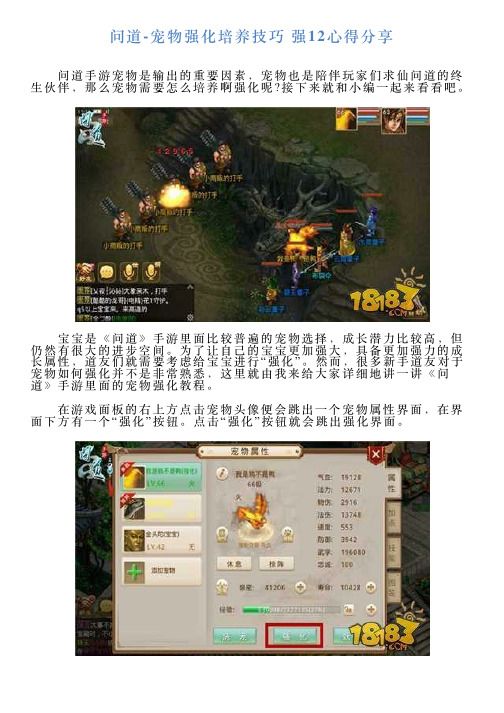 问道宠物强化培养技巧强12心得分享