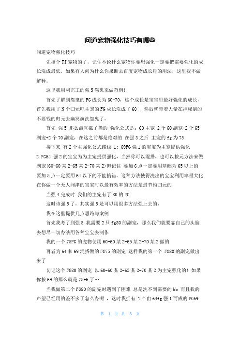 问道宠物强化技巧有哪些