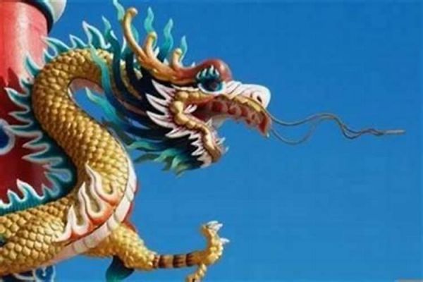 属龙的人养狗旺财？探究生肖与宠物之间的神秘联系