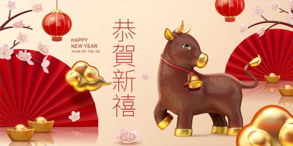 属龙的人养狗旺财？探究生肖与宠物之间的神秘联系