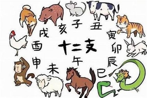 家中宠物指的是什么生肖