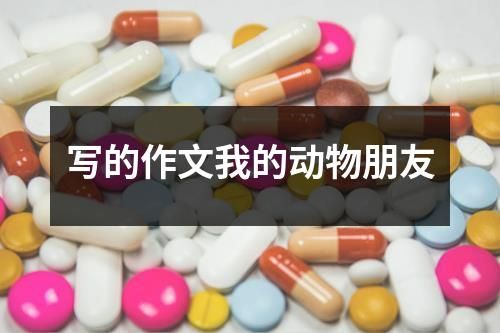 写的作文我的动物朋友
