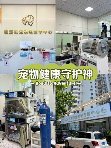 【宠物健康守护神，爱宠的安心港湾】