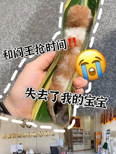和阎王抢时间‼️ 失去了我的宝宝[流泪]
