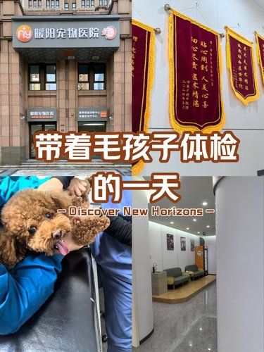 暖阳宠物医院
