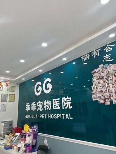 贴心宠物医院，让爱宠拥有健康的明天