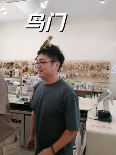 鸟门 学士街281号
