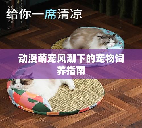 动漫萌宠风潮下的宠物饲养指南