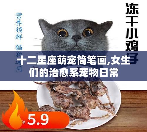 十二星座萌宠简笔画,女生们的治愈系宠物日常