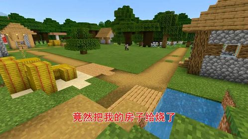 妈妈打我的N种理由：烧村民住房遭妈妈大义灭亲