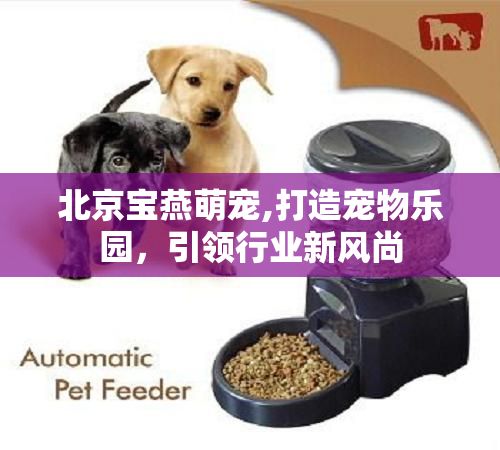 北京宝燕萌宠,打造宠物乐园，引领行业新风尚