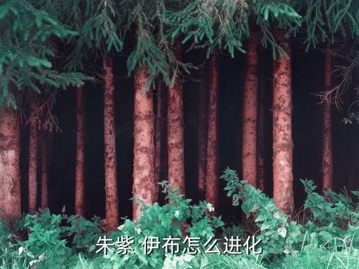 朱紫 伊布怎么进化