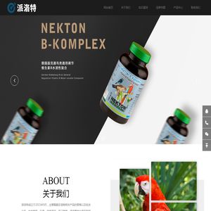 派洛特