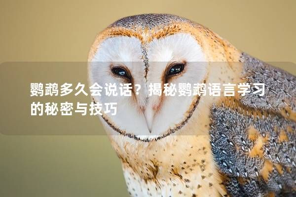 鹦鹉多久会说话？揭秘鹦鹉语言学习的秘密与技巧