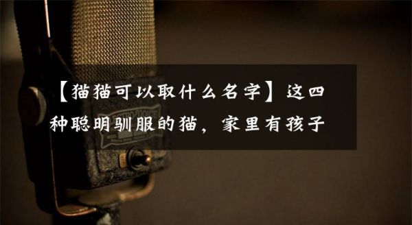 【猫猫可以取什么名字】这四种聪明驯服的猫，家里有孩子也能养，所以不要错过文章配图