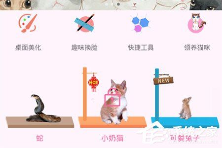 咪萌桌面宠物怎么玩？