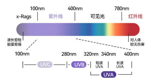 铲屎官的噩梦:猫浮毛过敏怎么办?宠物空气净化器哪个牌子好