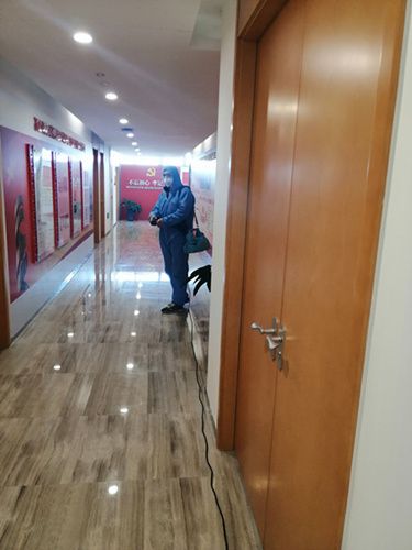 如何为宠物消毒